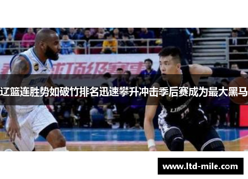 辽篮连胜势如破竹排名迅速攀升冲击季后赛成为最大黑马