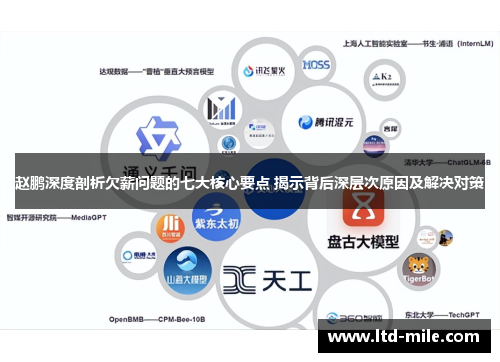 赵鹏深度剖析欠薪问题的七大核心要点 揭示背后深层次原因及解决对策