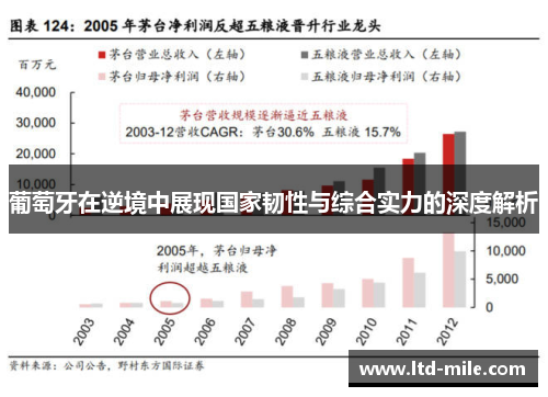 葡萄牙在逆境中展现国家韧性与综合实力的深度解析