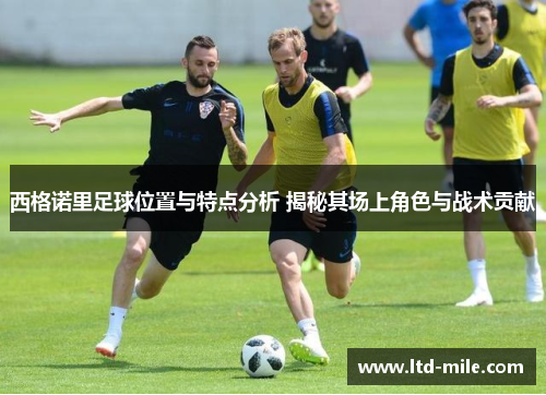 西格诺里足球位置与特点分析 揭秘其场上角色与战术贡献