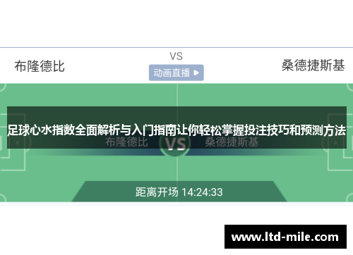 足球心水指数全面解析与入门指南让你轻松掌握投注技巧和预测方法